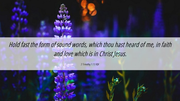 Picture 06 - 2 Timothy 1:13 KJV Desktop Wallpaper - Hold fast the form of sound words, which thou - Desktop Bible Verse Wallpaper
