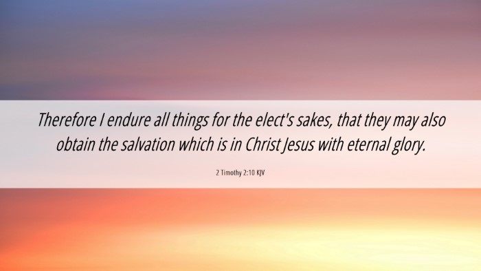 Picture 06 - 2 Timothy 2:10 KJV Desktop Wallpaper - Therefore I endure all things for the elect's - Desktop Bible Verse Wallpaper