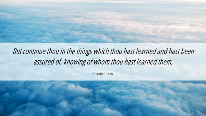 Picture 06 - 2 Timothy 3:14 KJV Desktop Wallpaper - But continue thou in the things which thou hast - Desktop Bible Verse Wallpaper