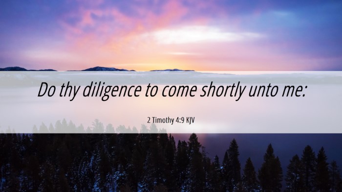 Picture 06 - 2 Timothy 4:9 KJV Desktop Wallpaper - Do thy diligence to come shortly unto - Desktop Bible Verse Wallpaper