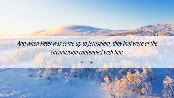 Picture 06 - Acts 11:2 KJV Desktop Wallpaper - And when Peter was come up to Jerusalem, they - Desktop Bible Verse Wallpaper