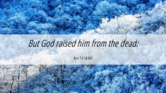 Picture 06 - Acts 13:30 KJV Desktop Wallpaper - But God raised him from the - Desktop Bible Verse Wallpaper