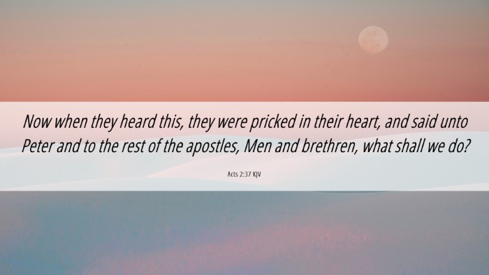 Picture 06 - Acts 2:37 KJV Desktop Wallpaper - Now when they heard this, they were pricked in - Desktop Bible Verse Wallpaper