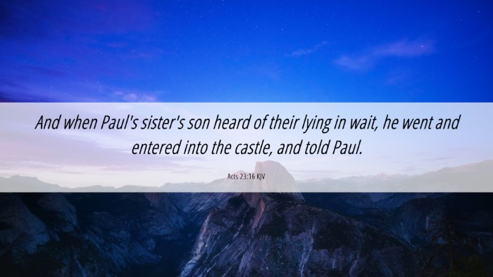 Picture 06 - Acts 23:16 KJV Desktop Wallpaper - And when Paul's sister's son heard of their lying - Desktop Bible Verse Wallpaper