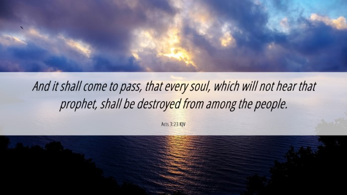 Picture 06 - Acts 3:23 KJV Desktop Wallpaper - And it shall come to pass, that every soul, which - Desktop Bible Verse Wallpaper