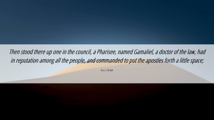 Picture 06 - Acts 5:34 KJV Desktop Wallpaper - Then stood there up one in the council, a - Desktop Bible Verse Wallpaper