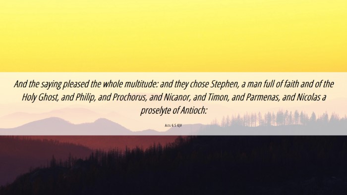 Picture 06 - Acts 6:5 KJV Desktop Wallpaper - And the saying pleased the whole multitude: and - Desktop Bible Verse Wallpaper