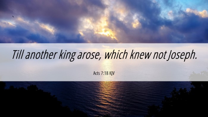 Picture 06 - Acts 7:18 KJV Desktop Wallpaper - Till another king arose, which knew not - Desktop Bible Verse Wallpaper