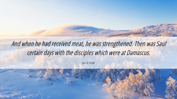 Picture 06 - Acts 9:19 KJV Desktop Wallpaper - And when he had received meat, he was - Desktop Bible Verse Wallpaper