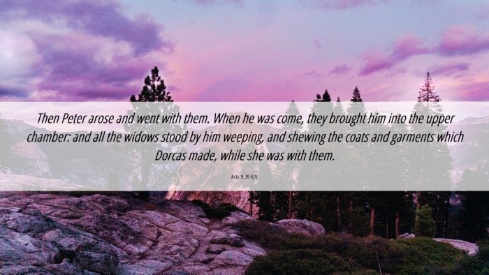 Picture 06 - Acts 9:39 KJV Desktop Wallpaper - Then Peter arose and went with them. When he was - Desktop Bible Verse Wallpaper