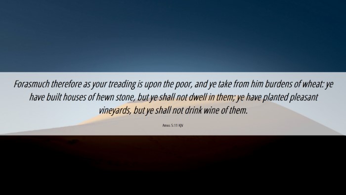 Picture 06 - Amos 5:11 KJV Desktop Wallpaper - Forasmuch therefore as your treading is upon the - Desktop Bible Verse Wallpaper