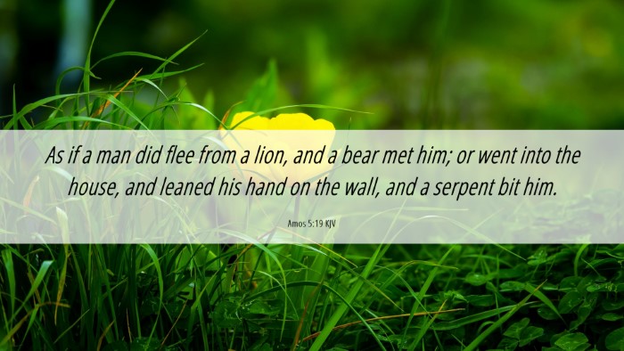 Picture 06 - Amos 5:19 KJV Desktop Wallpaper - As if a man did flee from a lion, and a bear met - Desktop Bible Verse Wallpaper