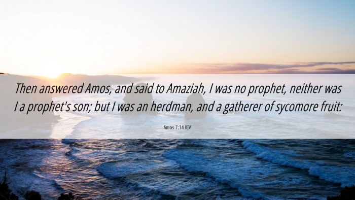 Picture 06 - Amos 7:14 KJV Desktop Wallpaper - Then answered Amos, and said to Amaziah, I was no - Desktop Bible Verse Wallpaper