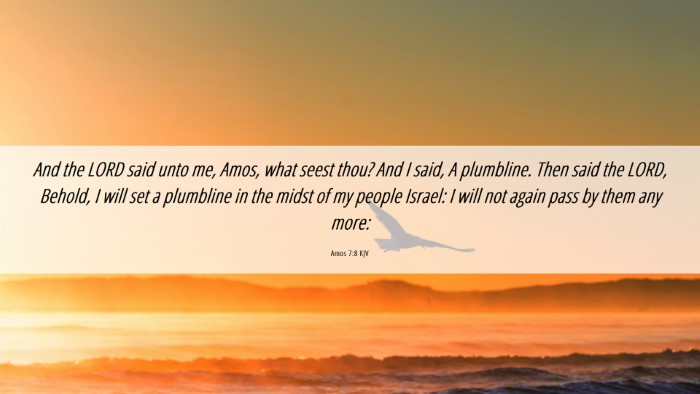 Picture 06 - Amos 7:8 KJV Desktop Wallpaper - And the LORD said unto me, Amos, what seest thou? - Desktop Bible Verse Wallpaper