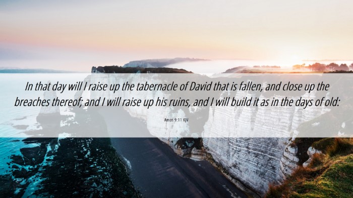 Picture 06 - Amos 9:11 KJV Desktop Wallpaper - In that day will I raise up the tabernacle of - Desktop Bible Verse Wallpaper