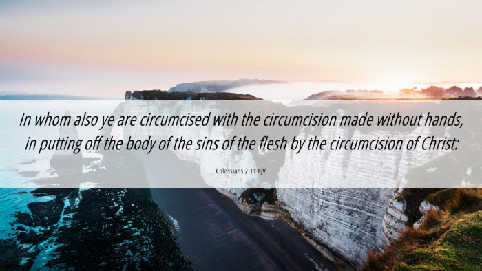 Picture 06 - Colossians 2:11 KJV Desktop Wallpaper - In whom also ye are circumcised with the - Desktop Bible Verse Wallpaper