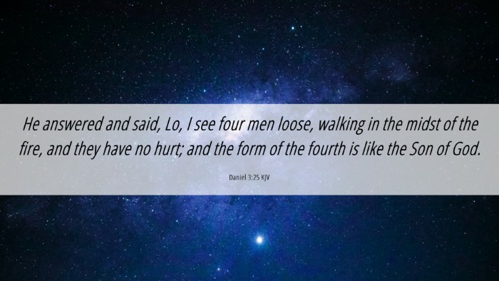 Picture 06 - Daniel 3:25 KJV Desktop Wallpaper - He answered and said, Lo, I see four men loose, - Desktop Bible Verse Wallpaper