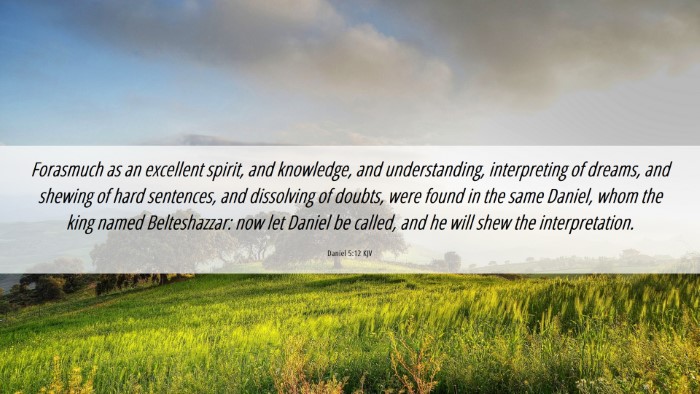 Picture 06 - Daniel 5:12 KJV Desktop Wallpaper - Forasmuch as an excellent spirit, and knowledge, - Desktop Bible Verse Wallpaper