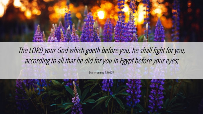 Picture 06 - Deuteronomy 1:30 KJV Desktop Wallpaper - The LORD your God which goeth before you, he - Desktop Bible Verse Wallpaper