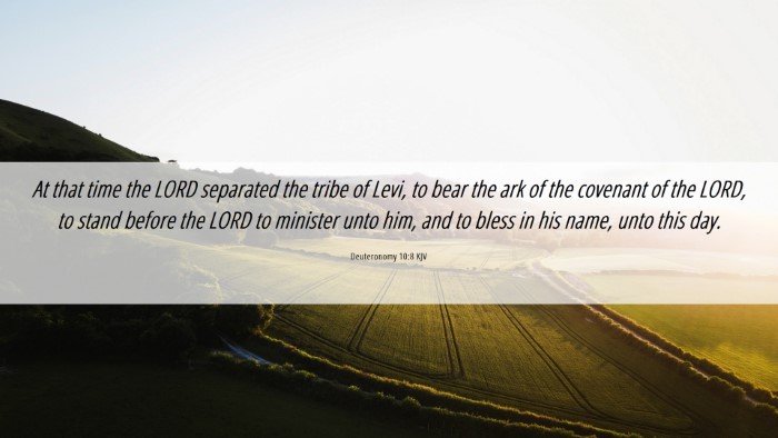 Picture 06 - Deuteronomy 10:8 KJV Desktop Wallpaper - At that time the LORD separated the tribe of - Desktop Bible Verse Wallpaper
