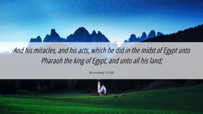 Picture 06 - Deuteronomy 11:3 KJV Desktop Wallpaper - And his miracles, and his acts, which he did in - Desktop Bible Verse Wallpaper