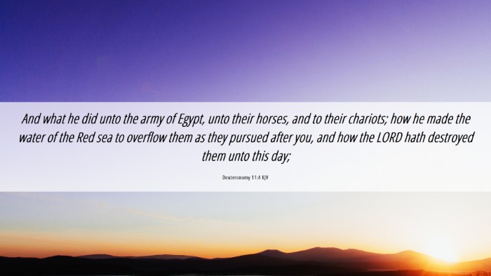 Picture 06 - Deuteronomy 11:4 KJV Desktop Wallpaper - And what he did unto the army of Egypt, unto - Desktop Bible Verse Wallpaper