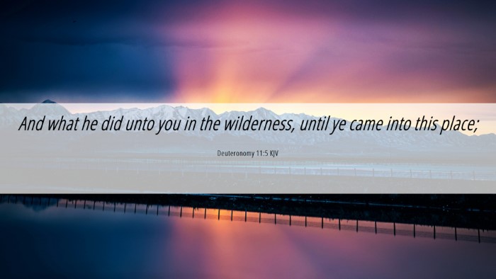 Picture 06 - Deuteronomy 11:5 KJV Desktop Wallpaper - And what he did unto you in the wilderness, until - Desktop Bible Verse Wallpaper