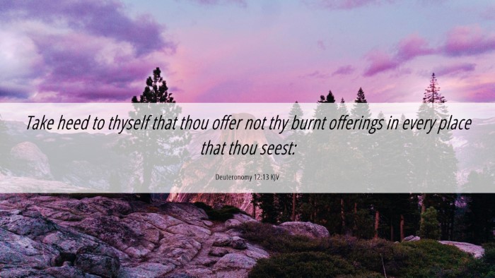 Picture 06 - Deuteronomy 12:13 KJV Desktop Wallpaper - Take heed to thyself that thou offer not thy - Desktop Bible Verse Wallpaper