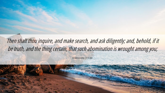 Picture 06 - Deuteronomy 13:14 KJV Desktop Wallpaper - Then shalt thou inquire, and make search, and ask - Desktop Bible Verse Wallpaper