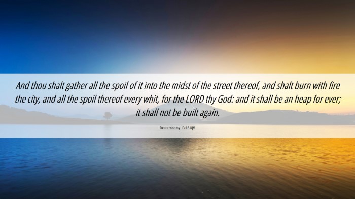 Picture 06 - Deuteronomy 13:16 KJV Desktop Wallpaper - And thou shalt gather all the spoil of it into - Desktop Bible Verse Wallpaper