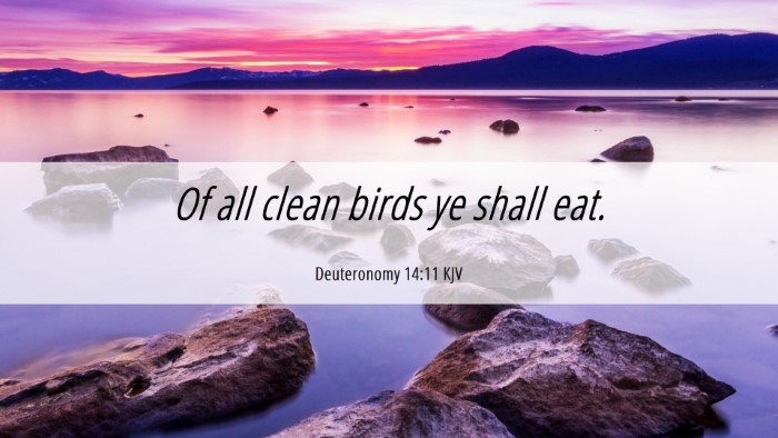 Picture 06 - Deuteronomy 14:11 KJV Desktop Wallpaper - Of all clean birds ye shall - Desktop Bible Verse Wallpaper