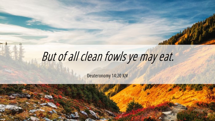 Picture 06 - Deuteronomy 14:20 KJV Desktop Wallpaper - But of all clean fowls ye may - Desktop Bible Verse Wallpaper