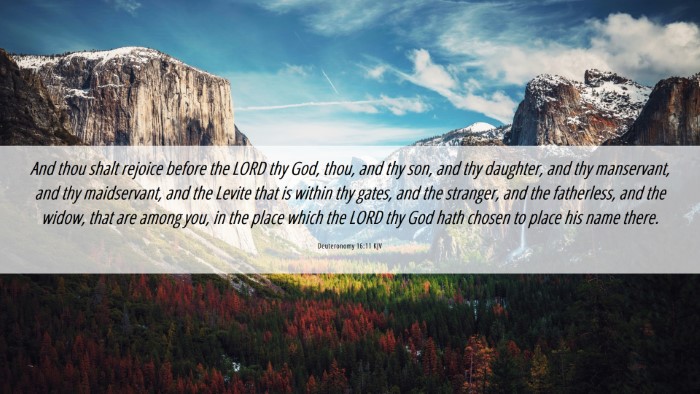 Picture 06 - Deuteronomy 16:11 KJV Desktop Wallpaper - And thou shalt rejoice before the LORD thy God, - Desktop Bible Verse Wallpaper