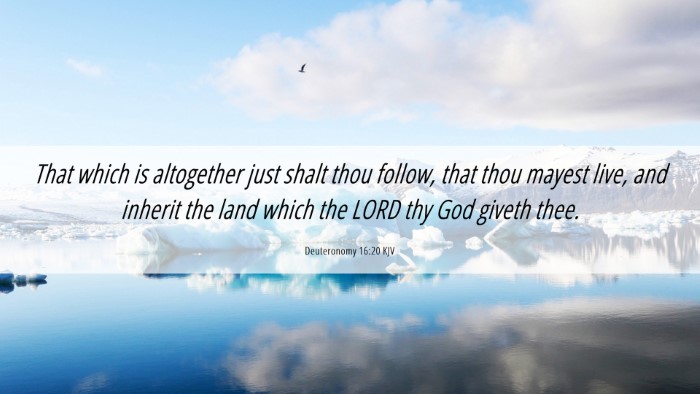 Picture 06 - Deuteronomy 16:20 KJV Desktop Wallpaper - That which is altogether just shalt thou follow, - Desktop Bible Verse Wallpaper