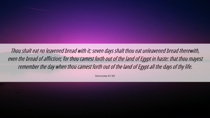 Picture 06 - Deuteronomy 16:3 KJV Desktop Wallpaper - Thou shalt eat no leavened bread with it; seven - Desktop Bible Verse Wallpaper