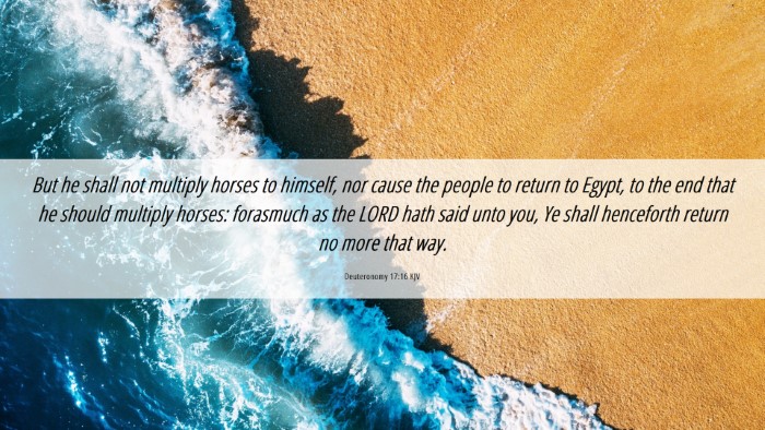 Picture 06 - Deuteronomy 17:16 KJV Desktop Wallpaper - But he shall not multiply horses to himself, nor - Desktop Bible Verse Wallpaper