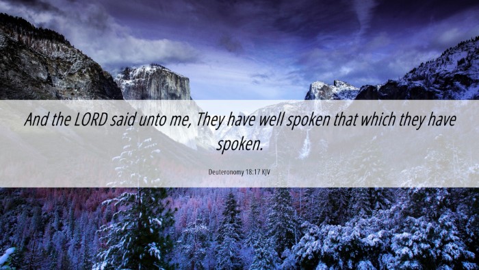Picture 06 - Deuteronomy 18:17 KJV Desktop Wallpaper - And the LORD said unto me, They have well spoken - Desktop Bible Verse Wallpaper