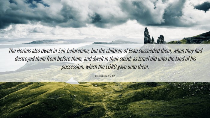 Picture 06 - Deuteronomy 2:12 KJV Desktop Wallpaper - The Horims also dwelt in Seir beforetime; but the - Desktop Bible Verse Wallpaper