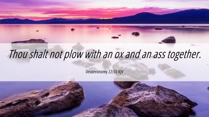 Picture 06 - Deuteronomy 22:10 KJV Desktop Wallpaper - Thou shalt not plow with an ox and an ass - Desktop Bible Verse Wallpaper