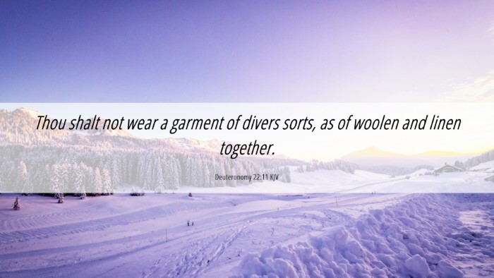 Picture 06 - Deuteronomy 22:11 KJV Desktop Wallpaper - Thou shalt not wear a garment of divers sorts, as - Desktop Bible Verse Wallpaper