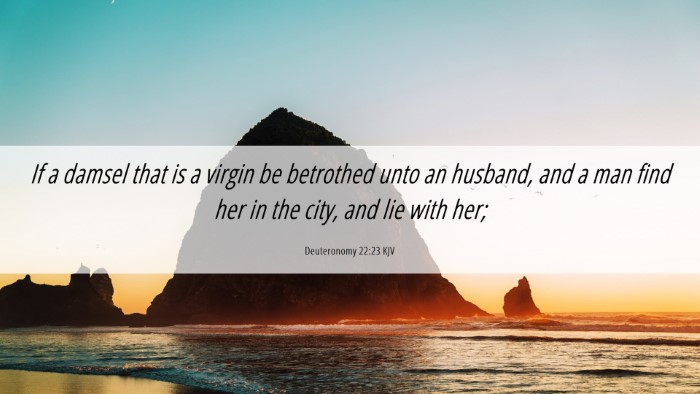 Picture 06 - Deuteronomy 22:23 KJV Desktop Wallpaper - If a damsel that is a virgin be betrothed unto an - Desktop Bible Verse Wallpaper