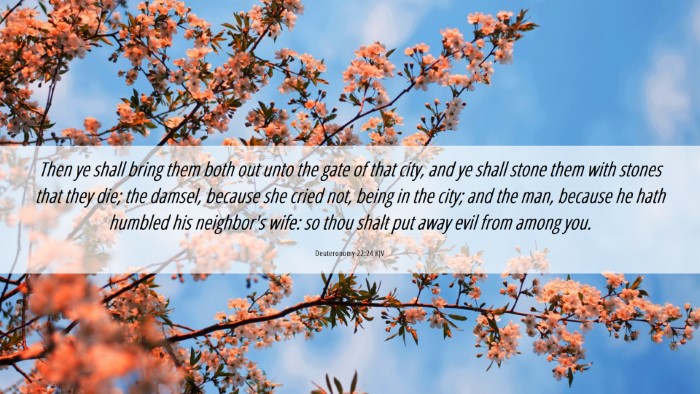 Picture 06 - Deuteronomy 22:24 KJV Desktop Wallpaper - Then ye shall bring them both out unto the gate - Desktop Bible Verse Wallpaper
