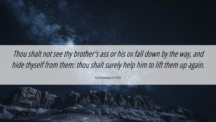 Picture 06 - Deuteronomy 22:4 KJV Desktop Wallpaper - Thou shalt not see thy brother's ass or his ox - Desktop Bible Verse Wallpaper