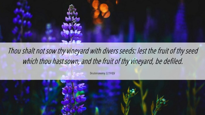 Picture 06 - Deuteronomy 22:9 KJV Desktop Wallpaper - Thou shalt not sow thy vineyard with divers - Desktop Bible Verse Wallpaper