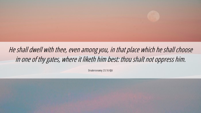 Picture 06 - Deuteronomy 23:16 KJV Desktop Wallpaper - He shall dwell with thee, even among you, in that - Desktop Bible Verse Wallpaper