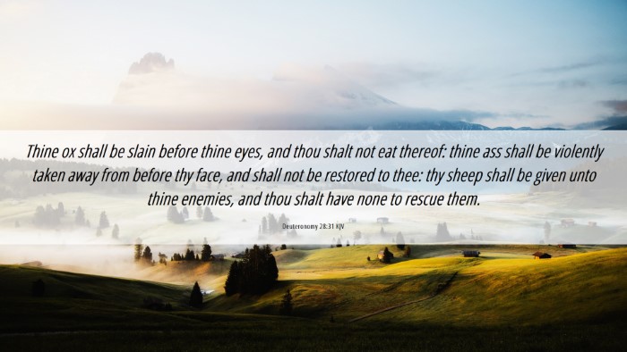 Picture 06 - Deuteronomy 28:31 KJV Desktop Wallpaper - Thine ox shall be slain before thine eyes, and - Desktop Bible Verse Wallpaper