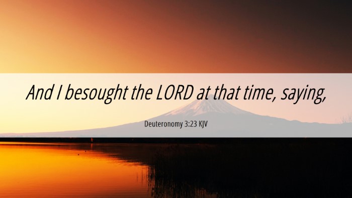 Picture 06 - Deuteronomy 3:23 KJV Desktop Wallpaper - And I besought the LORD at that time, - Desktop Bible Verse Wallpaper