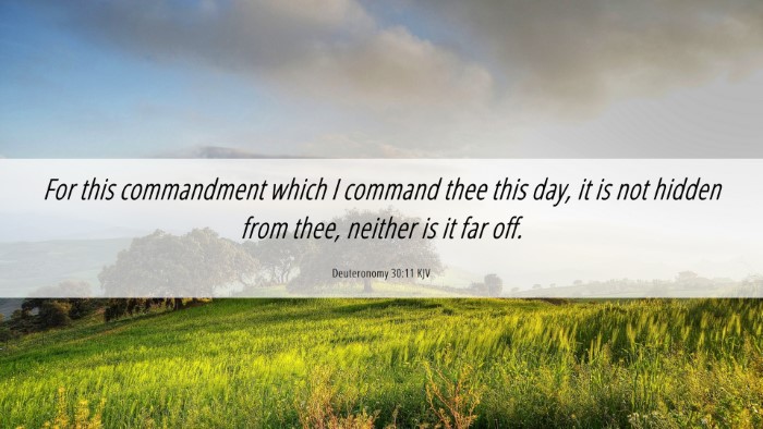 Picture 06 - Deuteronomy 30:11 KJV Desktop Wallpaper - For this commandment which I command thee this - Desktop Bible Verse Wallpaper