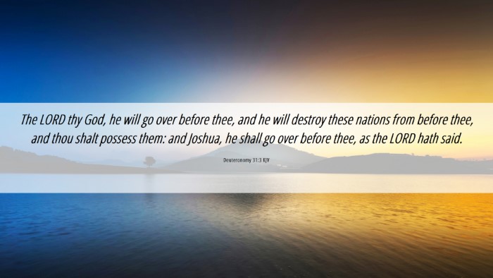 Picture 06 - Deuteronomy 31:3 KJV Desktop Wallpaper - The LORD thy God, he will go over before thee, - Desktop Bible Verse Wallpaper