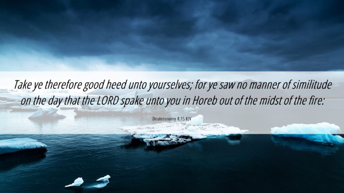Picture 06 - Deuteronomy 4:15 KJV Desktop Wallpaper - Take ye therefore good heed unto yourselves; for - Desktop Bible Verse Wallpaper